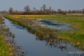 092_Biebrza - kwiecien 2011